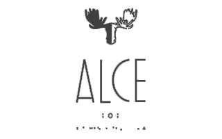 ALCE logo | Civil Security Solutions